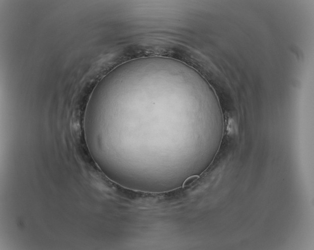 X0000114060771200910191500