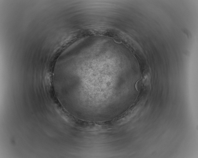 X0000114060772200910191500