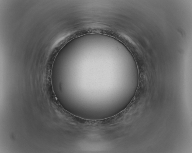 X0000114060775200910191500