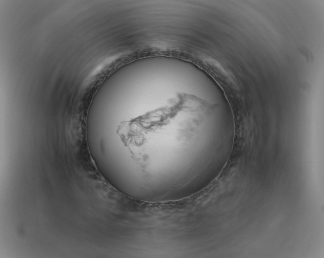 X0000114060776200910191500