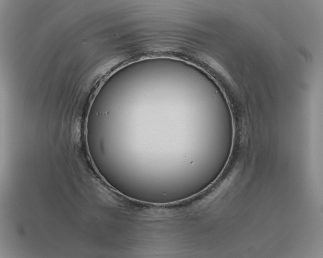 X0000114060777200910191500