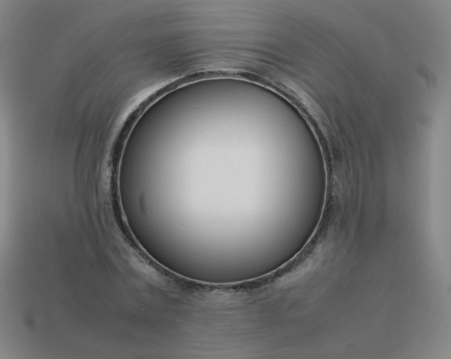 X0000114060779200910191500