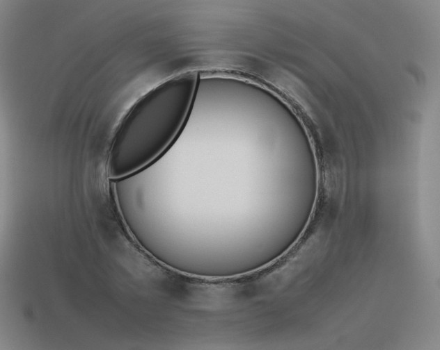 X0000114060781200910191500