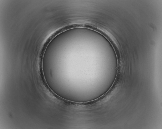 X0000114060783200910191500