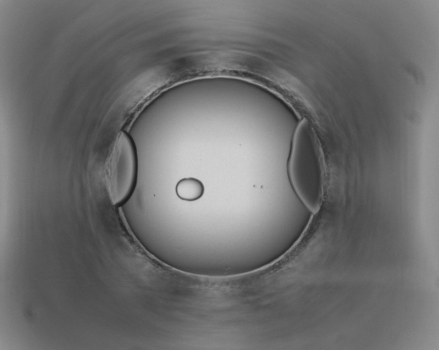 X0000114060785200910191500