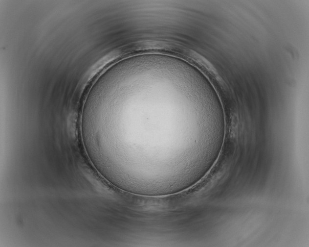 X0000114060786200910191500