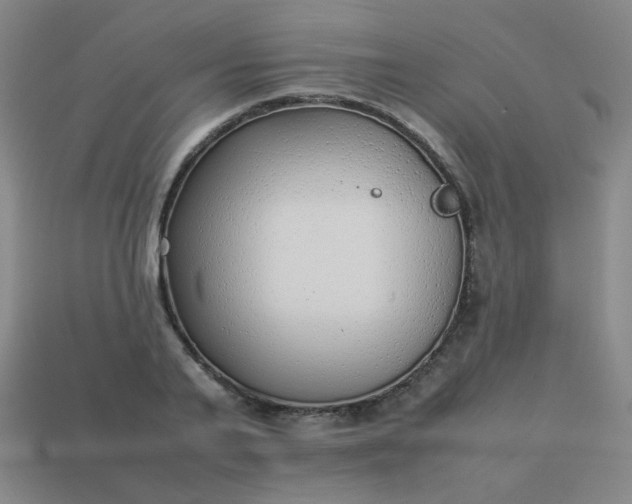 X0000114060791200910191500