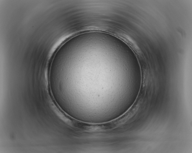 X0000114060796200910191500