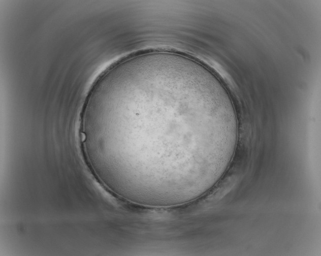 X0000114060799200910191500