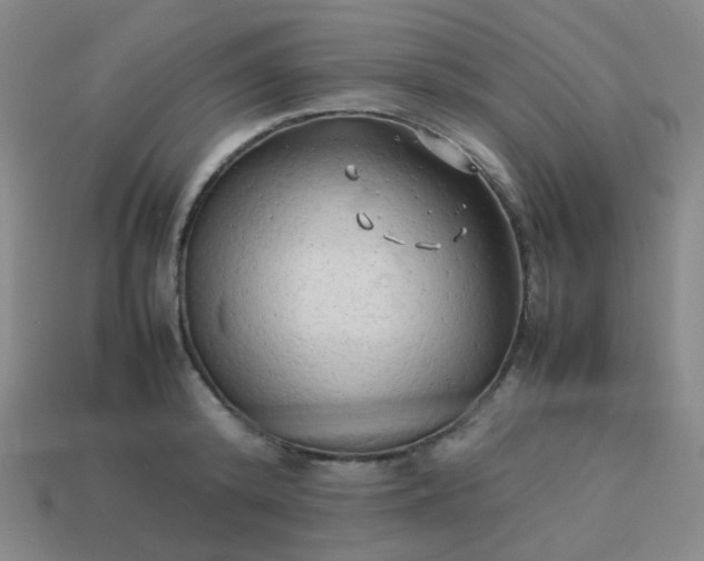 X0000114060800200910191500