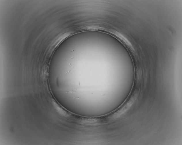 X0000114060801200910191500