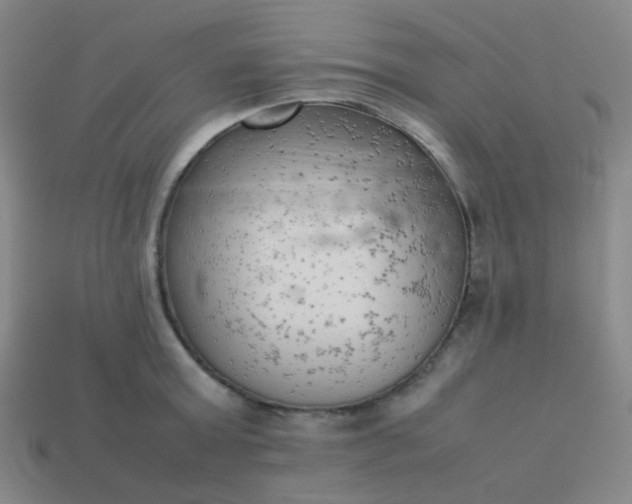 X0000114060803200910191500