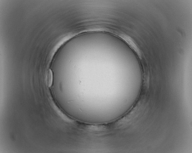 X0000114060805200910191500