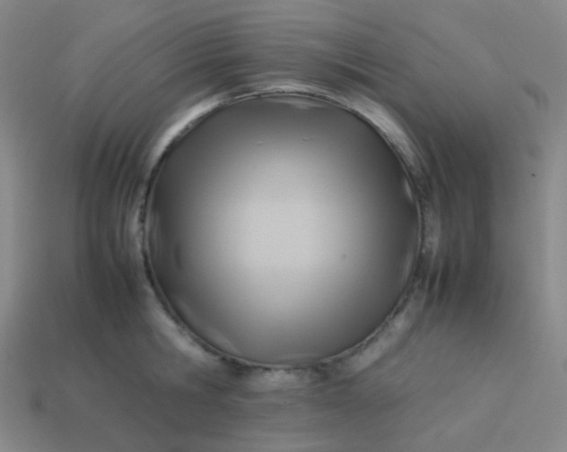 X0000114060806200910191500