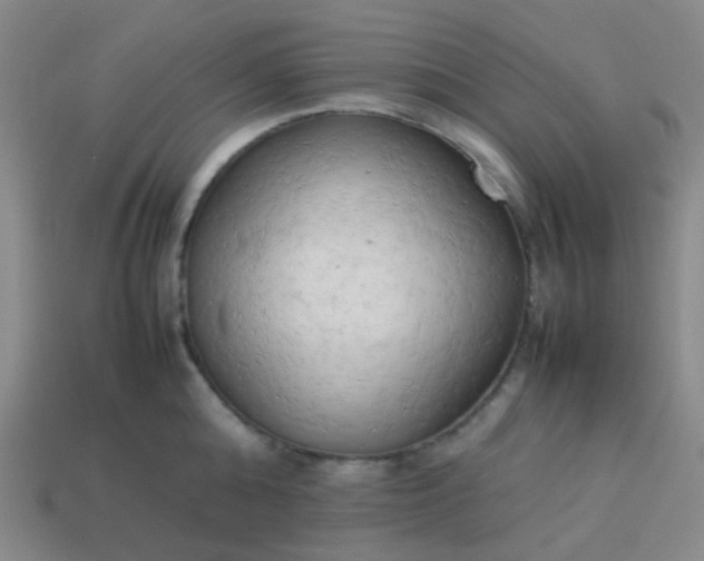 X0000114060808200910191500