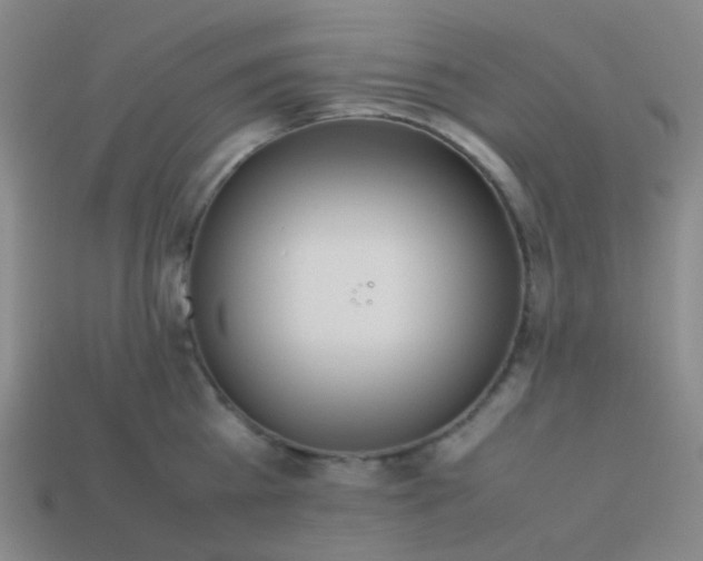 X0000114060809200910191500