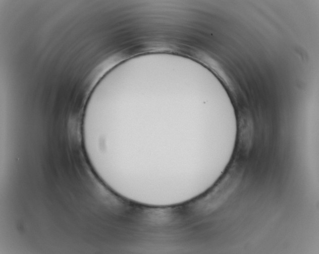 X0000114060810200910191500