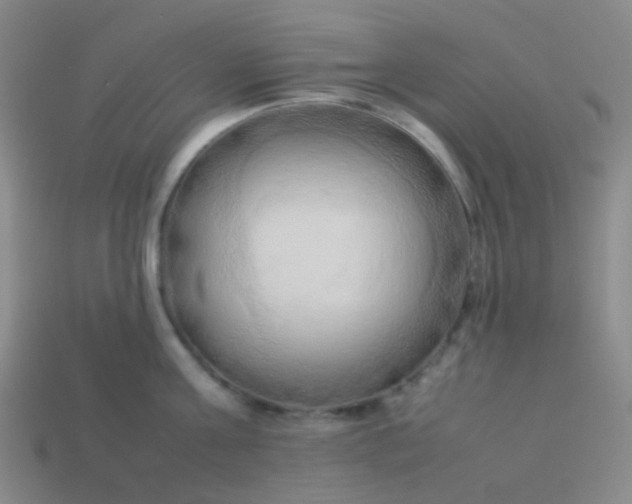 X0000114060811200910191500