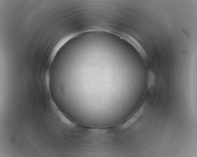 X0000114060812200910191500