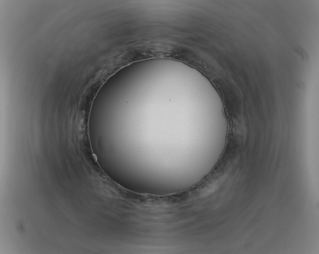 X0000114060818200910191459