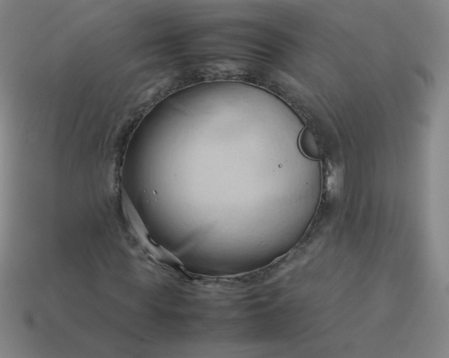 X0000114060819200910191459