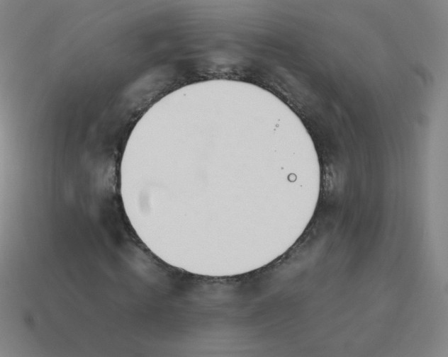 X0000114060820200910191459