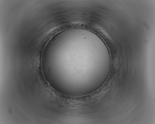 X0000114060821200910191459