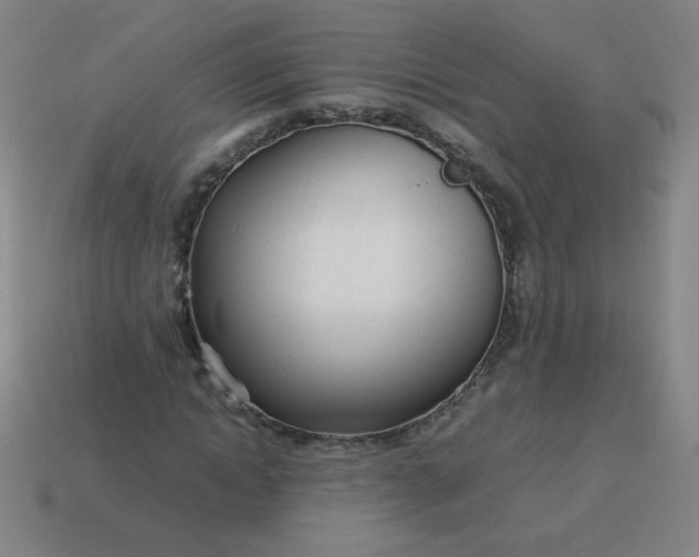 X0000114060822200910191459