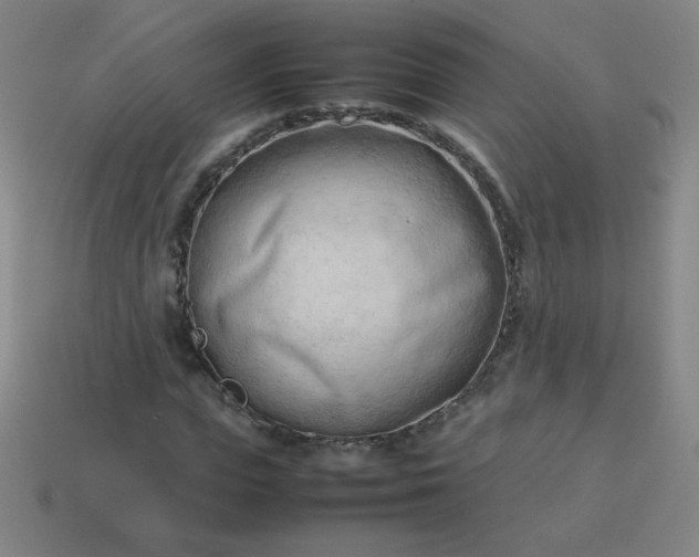 X0000114060823200910191459