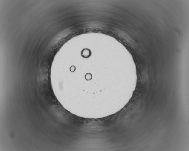 X0000114060824200910191459