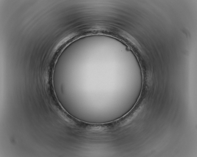 X0000114060826200910191459