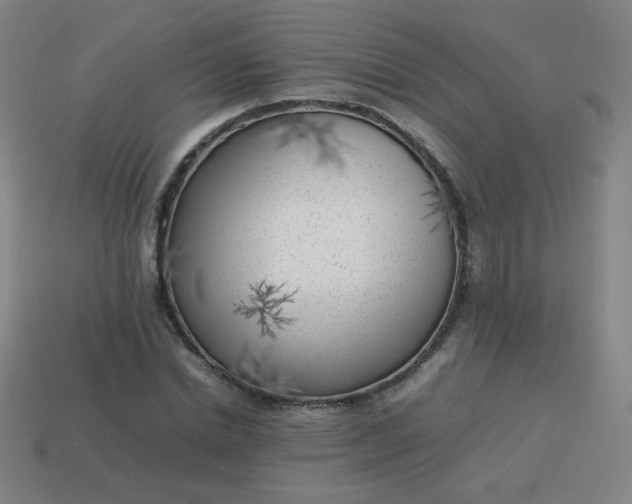 X0000114060830200910191459