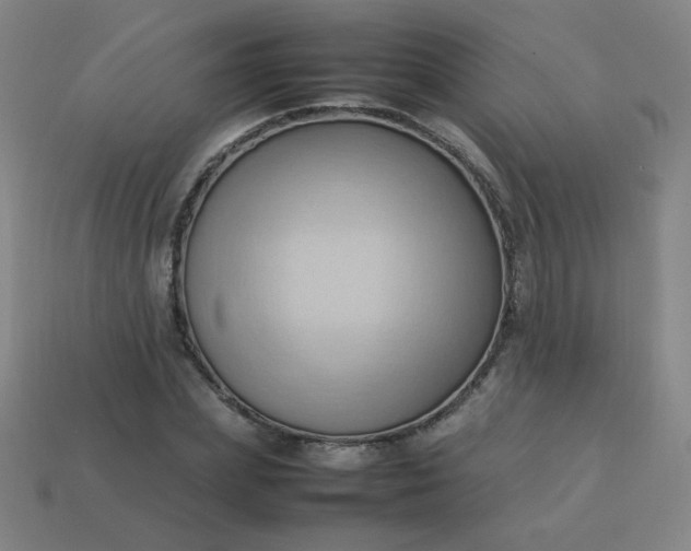 X0000114060831200910191459