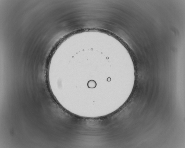 X0000114060832200910191459