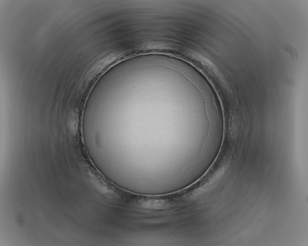 X0000114060833200910191459