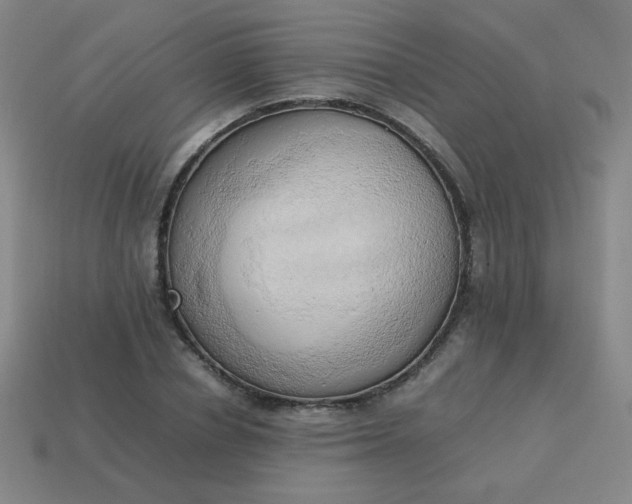 X0000114060834200910191459