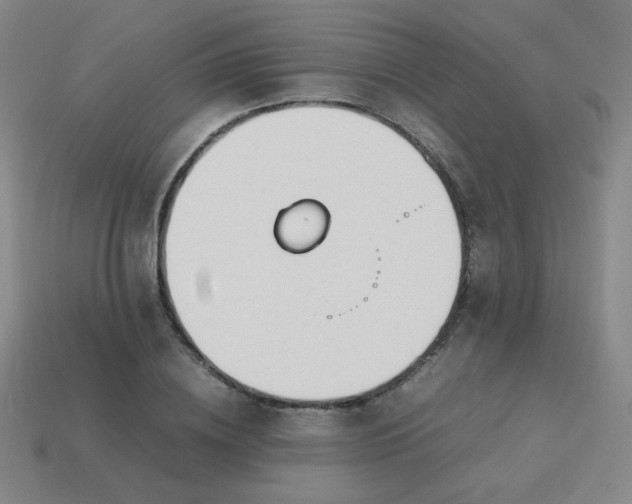 X0000114060836200910191459