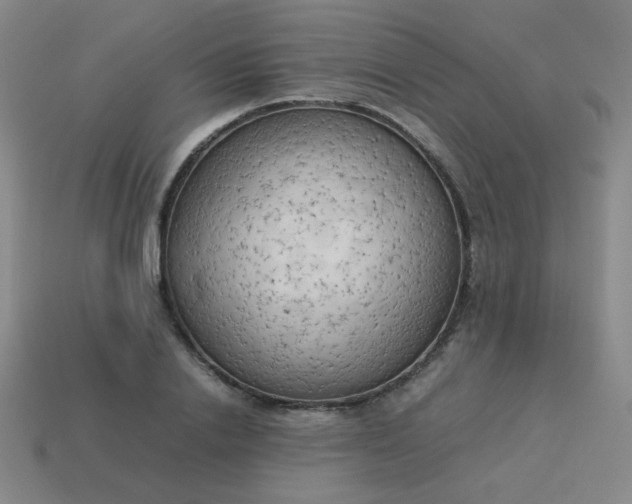 X0000114060838200910191459