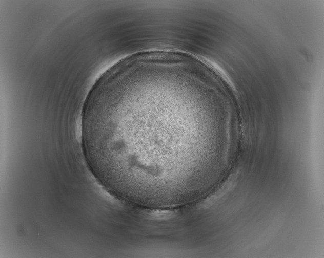 X0000114060839200910191459