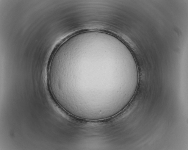 X0000114060840200910191459