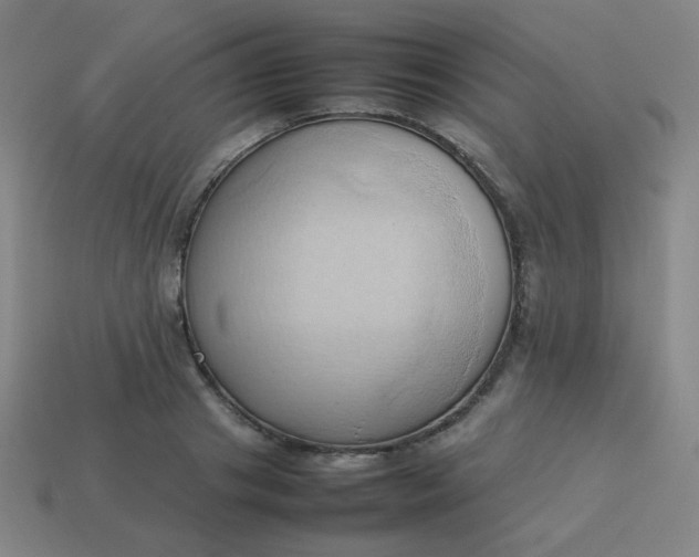 X0000114060841200910191459