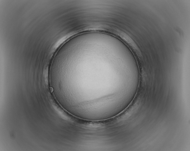 X0000114060842200910191459