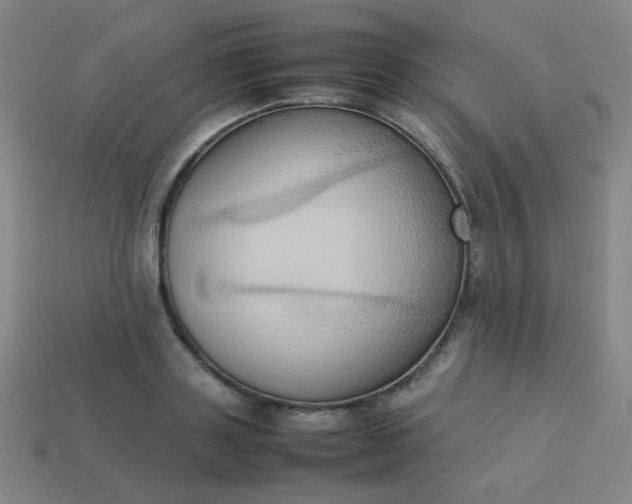 X0000114060843200910191459