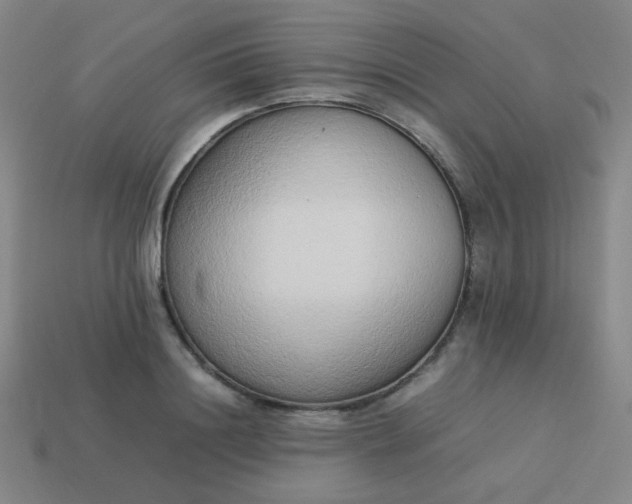 X0000114060844200910191459