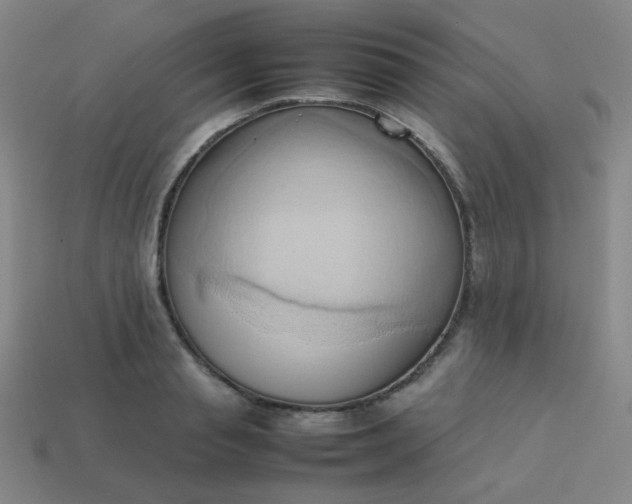 X0000114060845200910191459