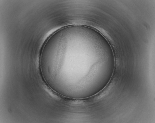 X0000114060846200910191459