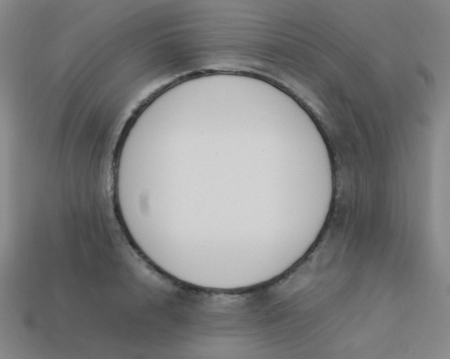 X0000114060848200910191459