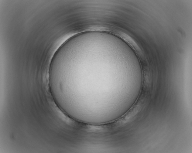 X0000114060852200910191459