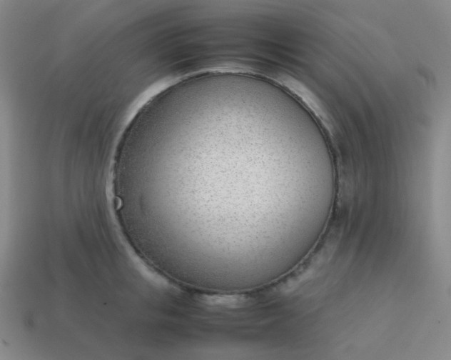 X0000114060853200910191459