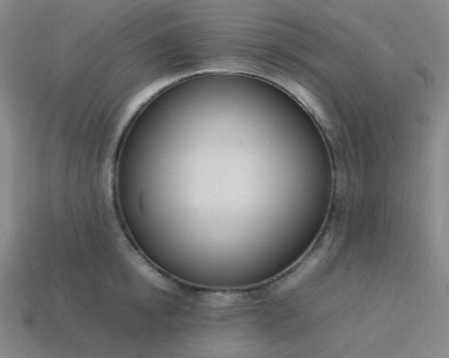 X0000114060854200910191459